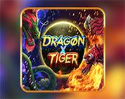 Dragon X Tiger